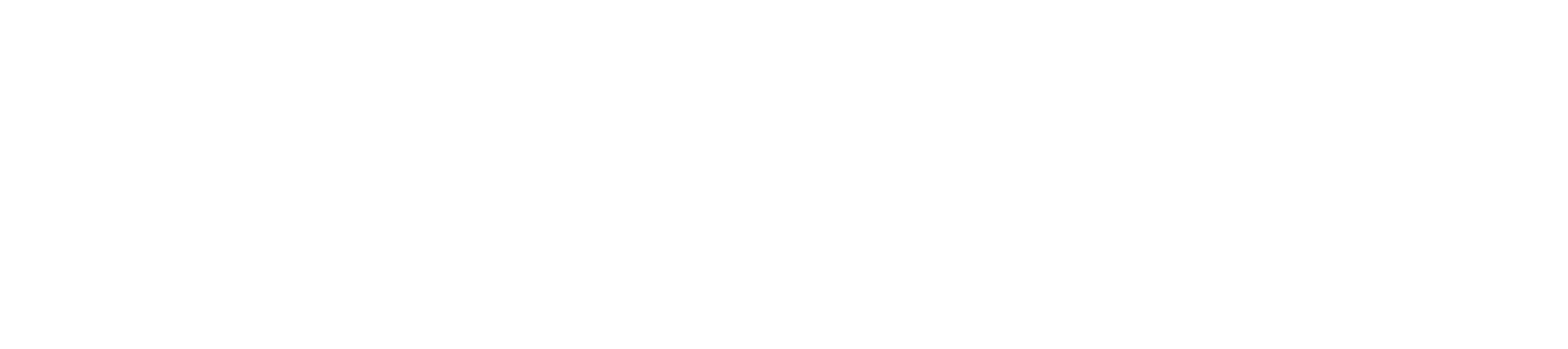 Coccinut Experience